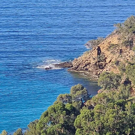 Διαμέρισμα Ca650-026 2 Pieces Pour 4 Personnes A Cavalaire-sur-Mer